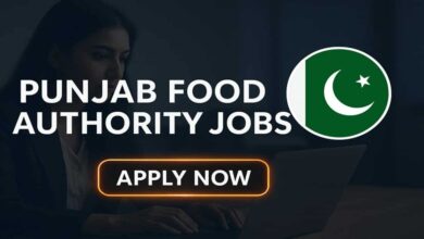 Punjab Food Authority Jobs