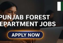 Punjab Forest Department Jobs