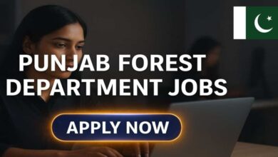 Punjab Forest Department Jobs