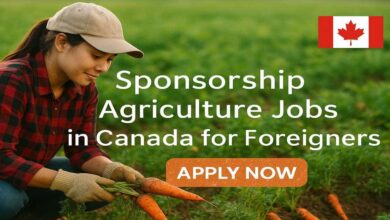 Sponsorship Agriculture Jobs in Canada for Foreigners