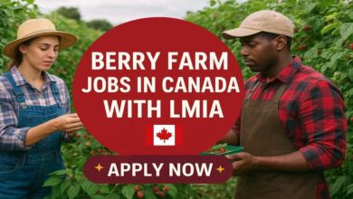 Berry Farm Jobs in Canada with LMIA