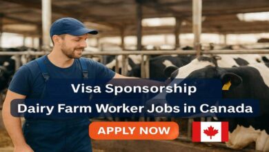 Visa Sponsorship Dairy Farm Worker Jobs in Canada
