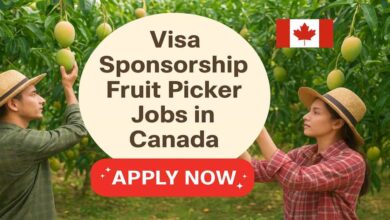Visa Sponsorship Fruit Picker Jobs in Canada