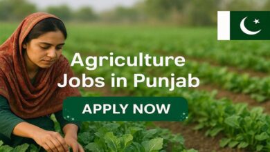 Agriculture Jobs in Punjab