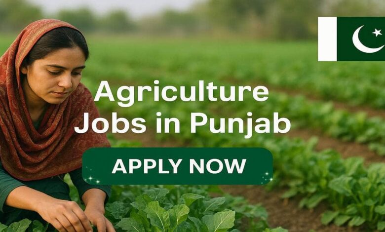 Agriculture Jobs in Punjab