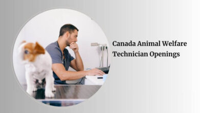 Canada Animal Welfare Technician Openings