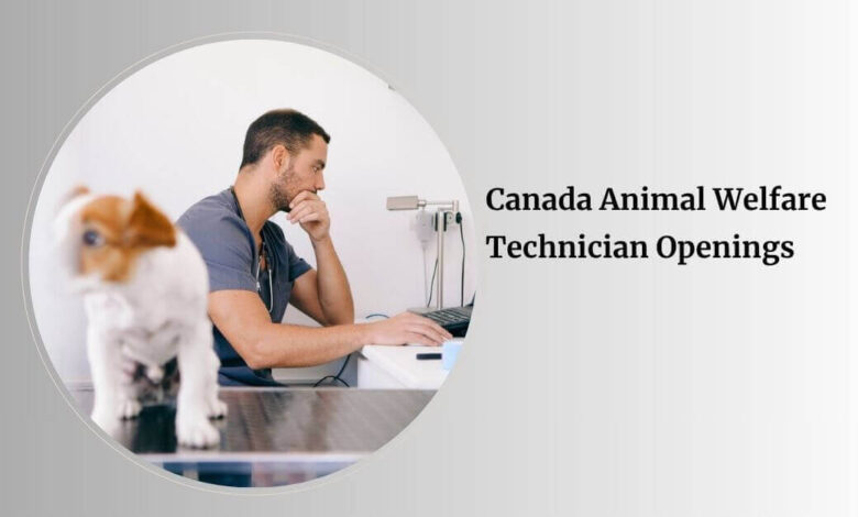 Canada Animal Welfare Technician Openings