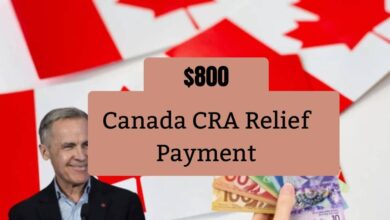 Canada CRA Relief Payment