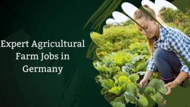 Expert Agricultural Farm Jobs in Germany