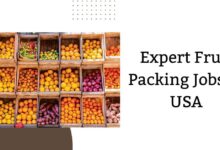 Expert Fruit Packing Jobs in USA