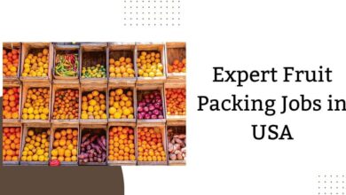 Expert Fruit Packing Jobs in USA