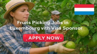 Fruits Picking Jobs in Luxembourg with Visa Sponsor
