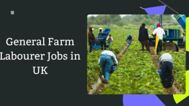 General Farm Labourer Jobs in UK