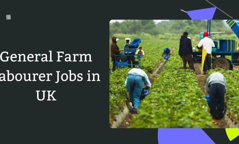General Farm Labourer Jobs in UK