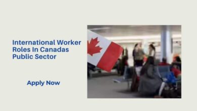 International Worker Roles In Canadas Public Sector