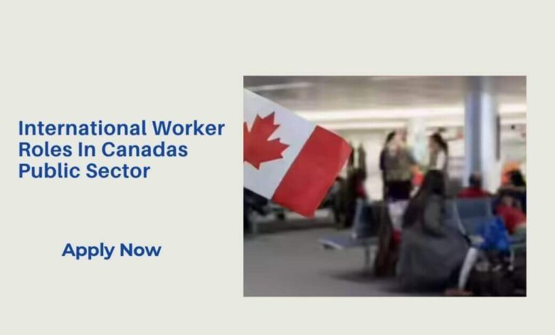 International Worker Roles In Canadas Public Sector