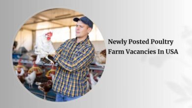 Newly Posted Poultry Farm Vacancies In USA