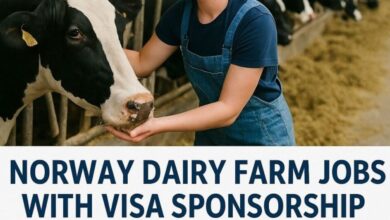 Norway Dairy Farm Jobs with Visa Sponsorship