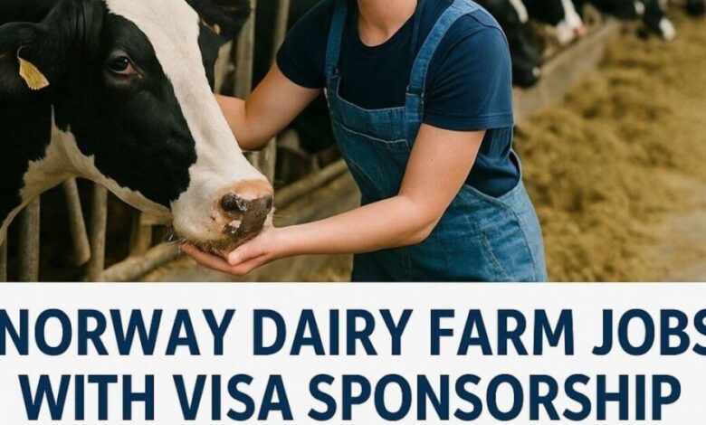 Norway Dairy Farm Jobs with Visa Sponsorship