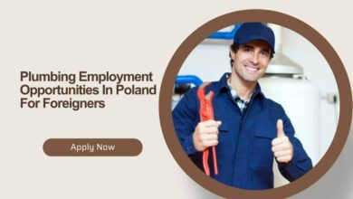 Plumbing Employment Opportunities In Poland For Foreigners