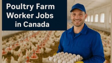Poultry Farm Worker Jobs in Canada