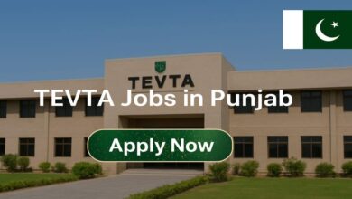 TEVTA Jobs in Punjab