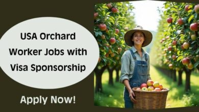 USA Orchard Worker Jobs with Visa Sponsorship