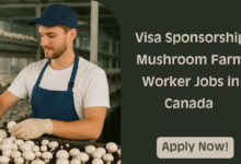 Visa Sponsorship Mushroom Farm Worker Jobs in Canada
