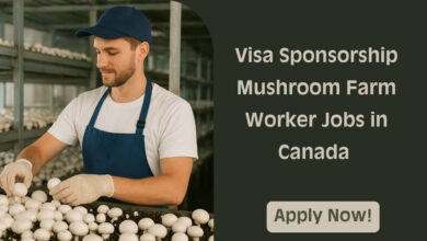 Visa Sponsorship Mushroom Farm Worker Jobs in Canada