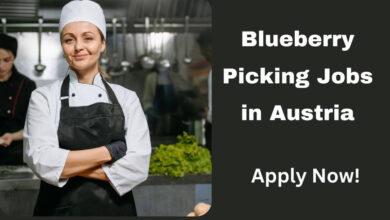 Blueberry Picking Jobs in Austria