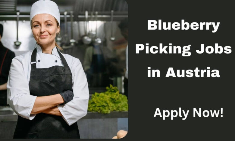 Blueberry Picking Jobs in Austria
