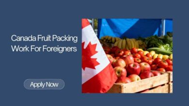Canada Fruit Packing Work For Foreigners