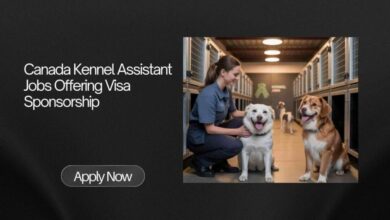 Canada Kennel Assistant Jobs Offering Visa Sponsorship