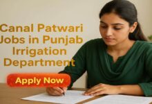 Canal Patwari Jobs in Punjab Irrigation Department
