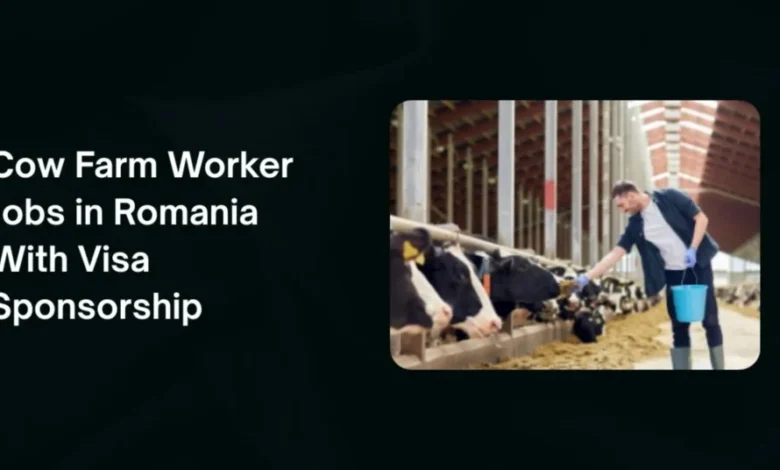 Cow Farm Worker Jobs in Romania