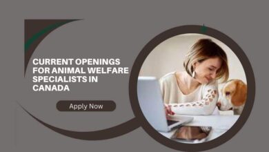Current Openings For Animal Welfare Specialists In Canada