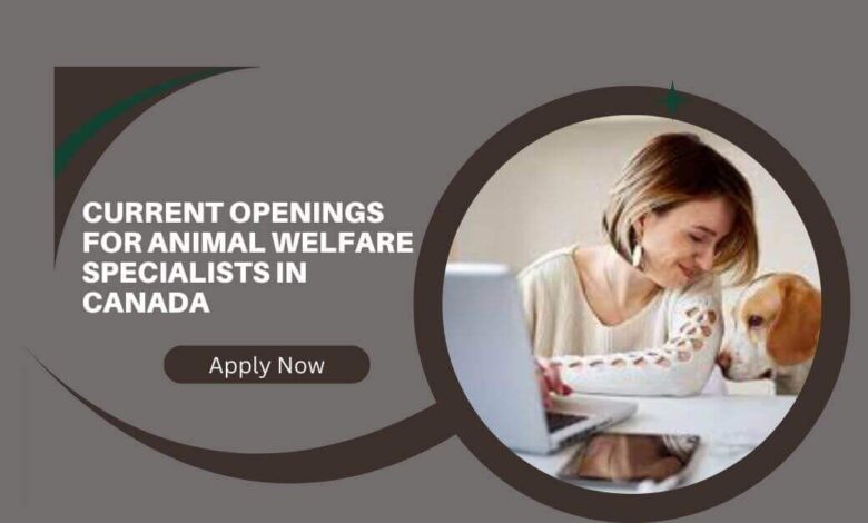 Current Openings For Animal Welfare Specialists In Canada