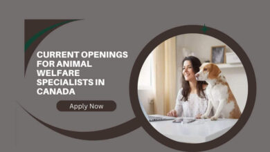 Current Openings For Animal Welfare Specialists In Canada