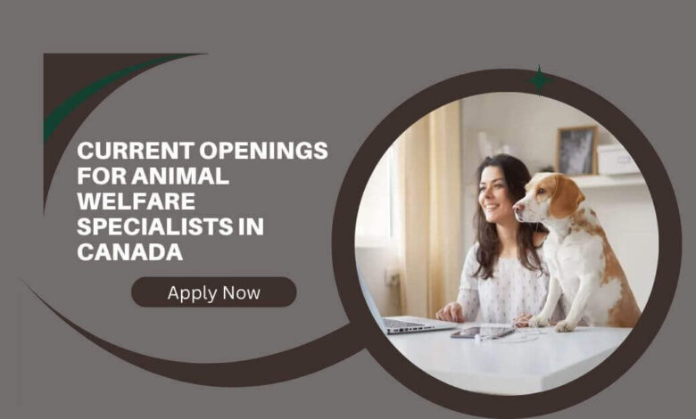 Current Openings For Animal Welfare Specialists In Canada
