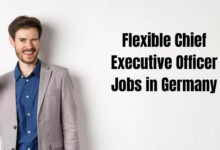 Flexible Chief Executive Officer Jobs in Germany