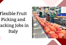 Flexible Fruit Picking and Packing Jobs in Italy