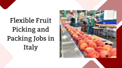 Flexible Fruit Picking and Packing Jobs in Italy