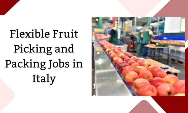 Flexible Fruit Picking and Packing Jobs in Italy