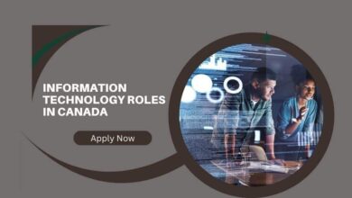 Information Technology Roles In Canada