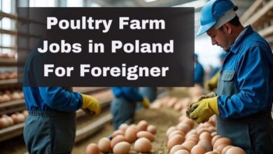Workers handling eggs in poultry farm