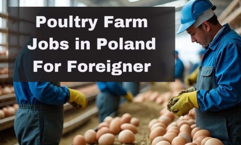 Workers handling eggs in poultry farm