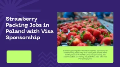 Strawberry Packing Jobs in Poland
