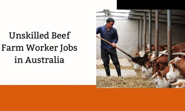 Unskilled Beef Farm Worker Jobs in Australia