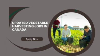Updated Vegetable Harvesting Jobs In Canada