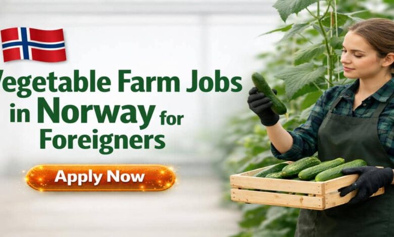 Vegetable Farm Jobs in Norway for Foreigners